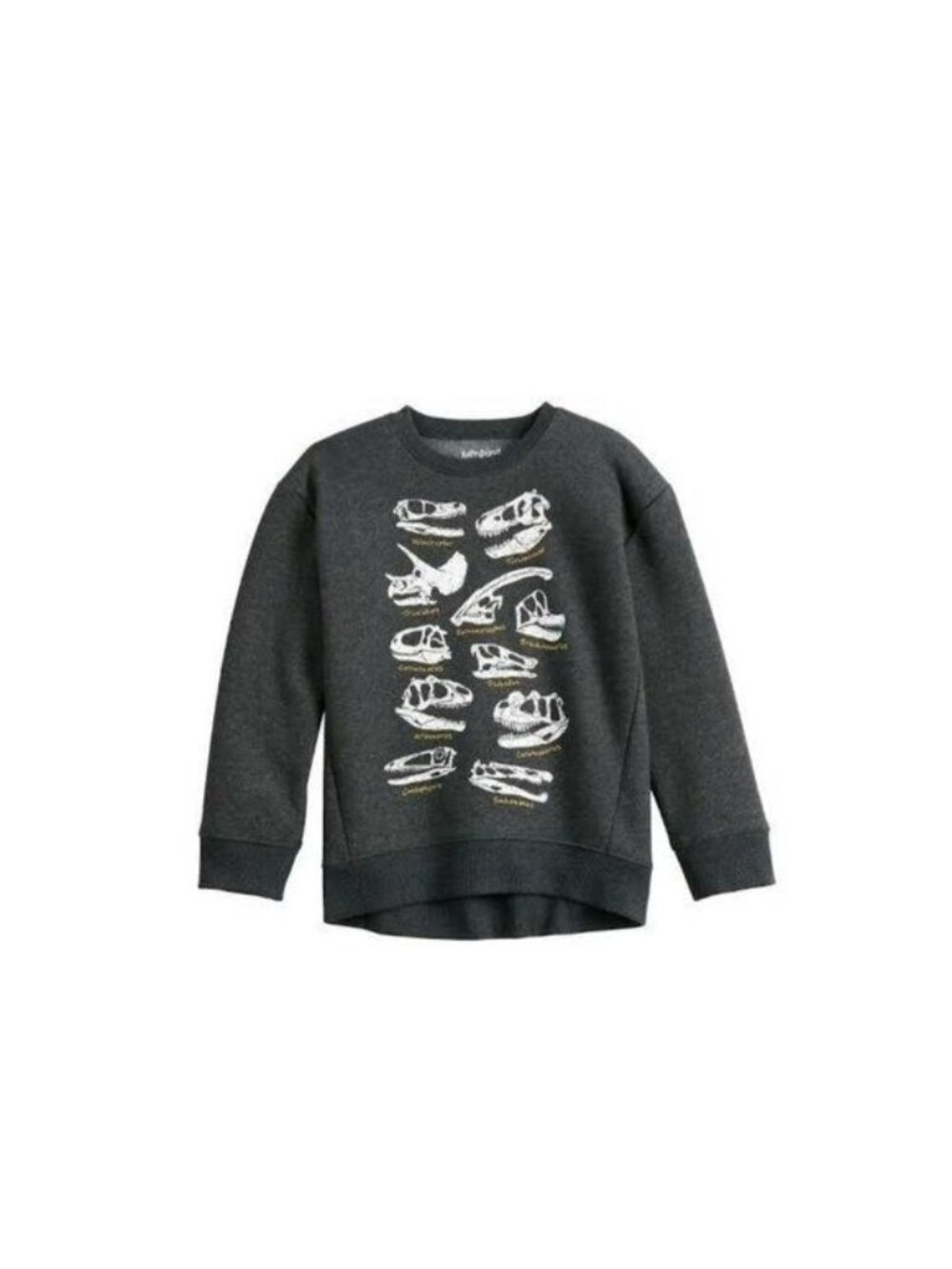 Boy's Jumping Beans Dinosaur Skulls Fleece Crew Sweatshirt Size 5T